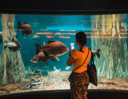 ocenarium Kuala Lumpur