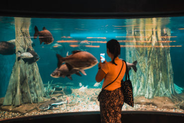 ocenarium Kuala Lumpur