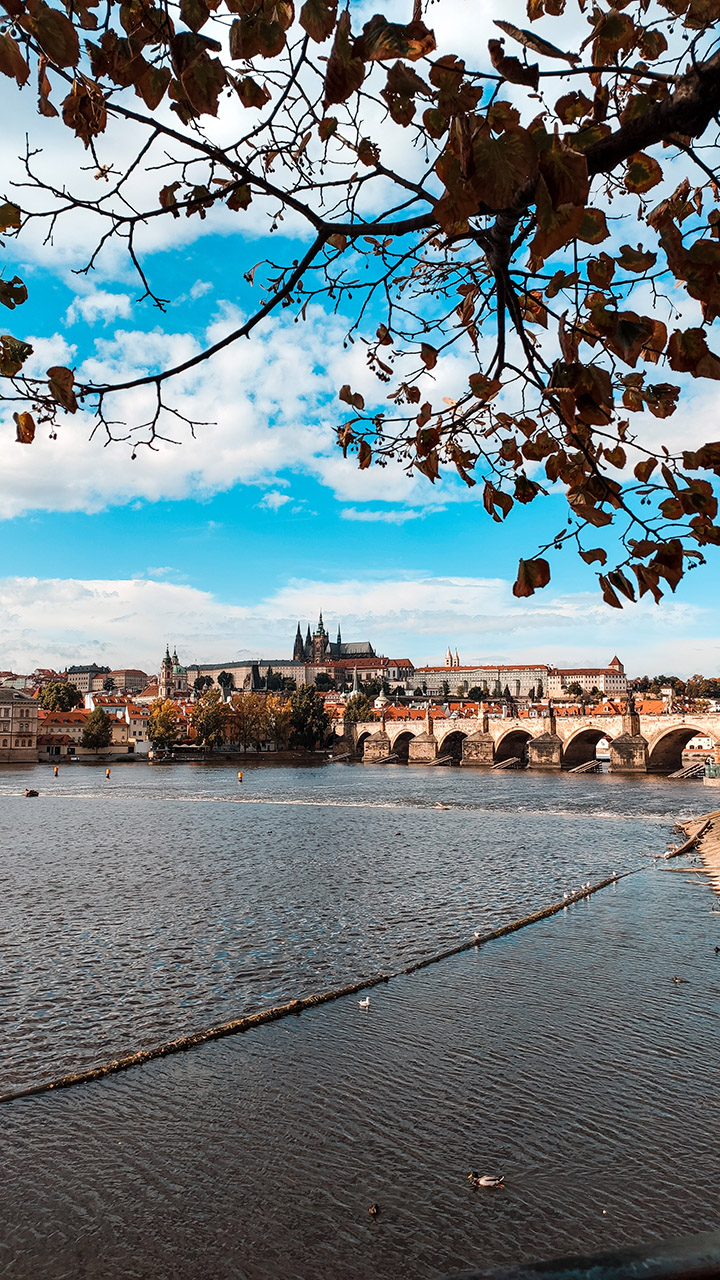 Rejsy po Wełtawie Praga